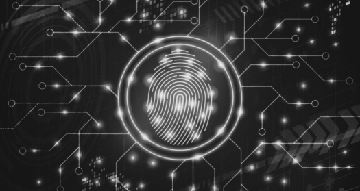IA y Ciberseguridad